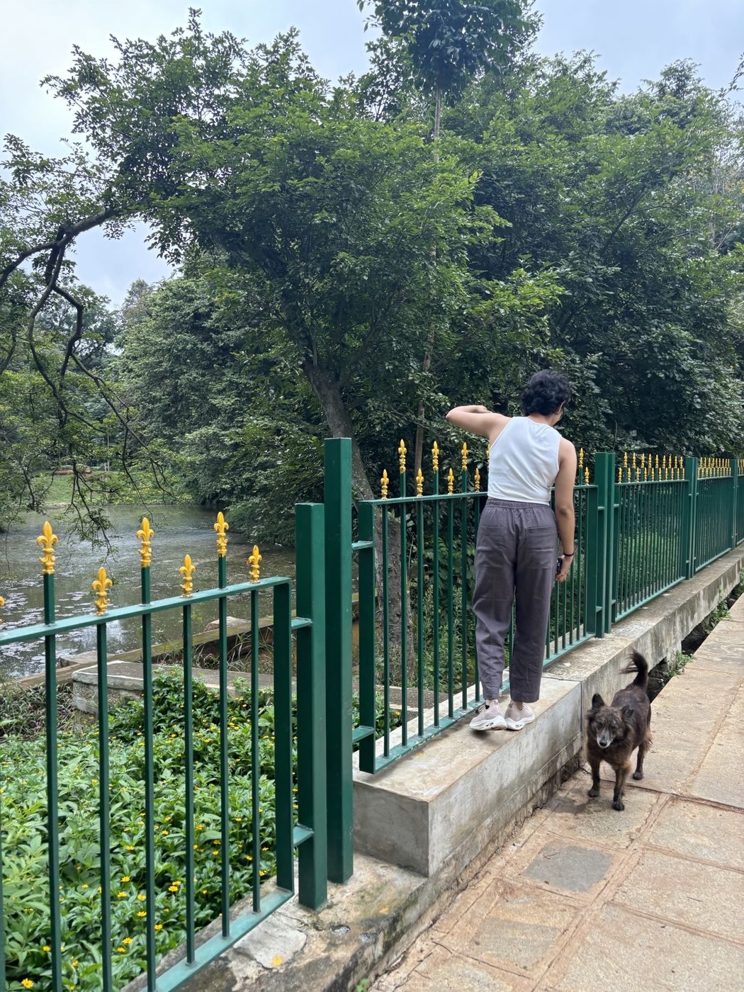 Candid photo